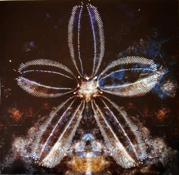 LP Sallie Ford: Soul Sick