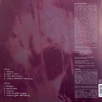 LP Sam Amidon: Sam Amidon LTD | CLR