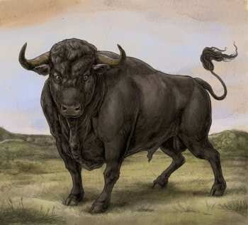 Album San Fermin: San Fermin