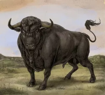 San Fermin