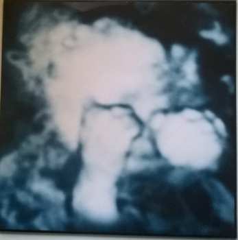 LP Sandra Monfort: Niño Reptil Ángel CLR