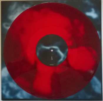 LP Sandra Monfort: Niño Reptil Ángel CLR