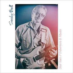 Album Sandy Bull: Steel Tears // Endventions & Tributes