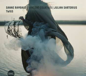 Album Vincent Courtois: Twigs