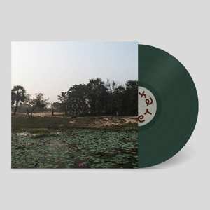 LP Sarathy Korwar: KALAK CLR | LTD