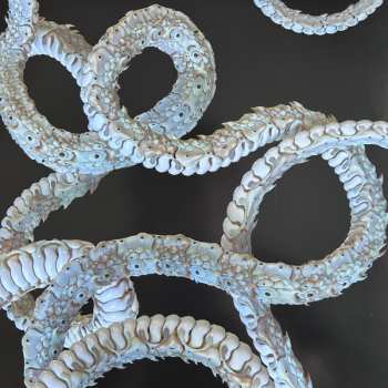 LP Sasami: Squeeze CLR | LTD