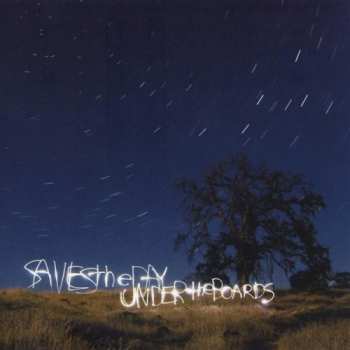 LP Saves The Day: Under The Boards