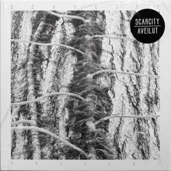 LP Scarcity: Aveilut
