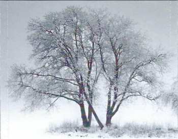 CD Franz Schubert: Winterreise