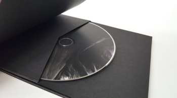 CD Seabuckthorn: Turns LTD | NUM