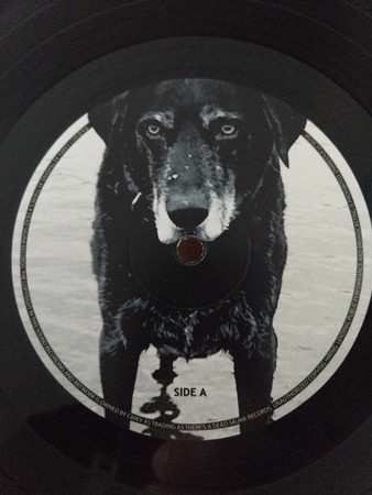 LP Seasick Steve: You Can't Teach an Old Dog New Tricks