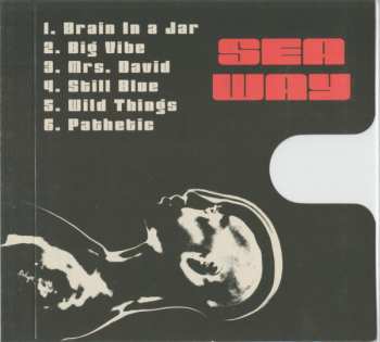 CD Seaway: Big Vibe