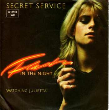 SP Secret Service: Flash In The Night
