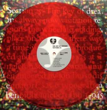 5LP/Box Set Section 25: Always Now DLX | LTD | CLR