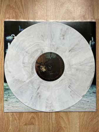 LP Sega Bodega: Dennis CLR | LTD