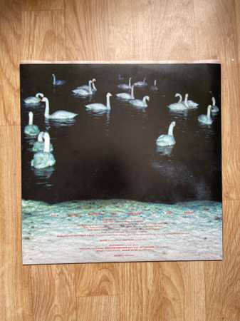 LP Sega Bodega: Dennis CLR | LTD
