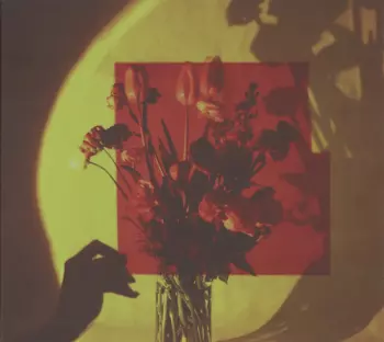 Selfishadows: Everything Changes