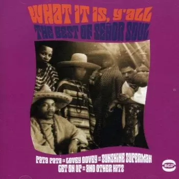What It Is Y'All: The Best Of Señor Soul