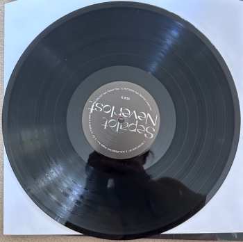 LP DJ Sepalot: Neverlost