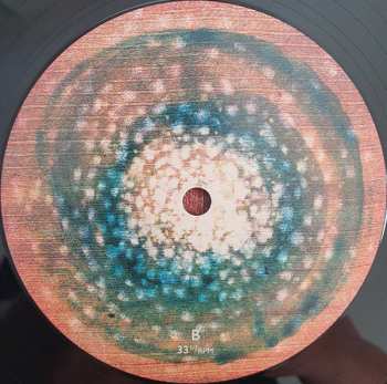 LP Set and Setting: Tabula Rasa