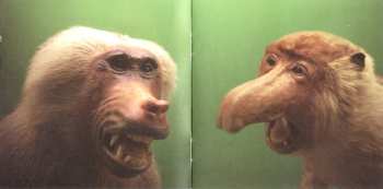 CD Seventeen Evergreen: Life Embarrasses Me On Planet Earth