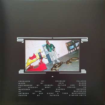 LP Shabazz Palaces: The Floss Vibes Of Shabazz Vol. 1: Robed in Rareness CLR