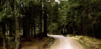 CD Shamblemaths: Shamblemaths 2 LTD | DIGI