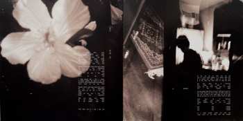 LP Shawn Mendes: Shawn CLR