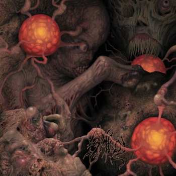 Album Sheol 4-way Split: Sheol 4