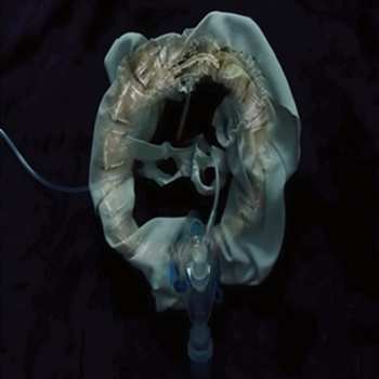 Album Ship Sket: InitiatriX