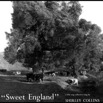 CD Shirley Collins: Sweet England