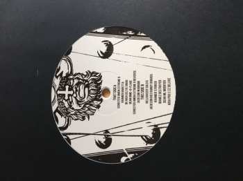 LP Shit And Shine: Teardrops LTD | CLR