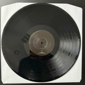 2LP Shock One: Organism Algorithm
