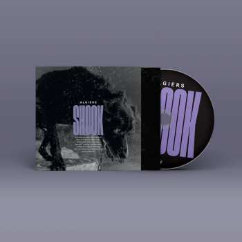 CD Algiers: Shook