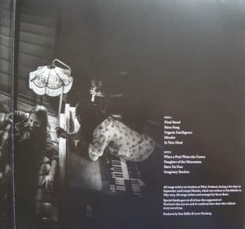 LP Siena Root: The Secret Of Our Time LTD