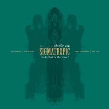 LP Sigmatropic: Could That Be The Voice?