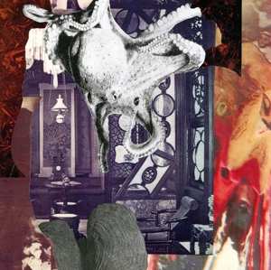 LP Signal: Echoes