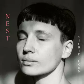 Sigrid Horn: Nest