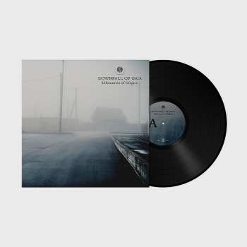 LP Downfall of Gaia: Silhouettes of Disgust