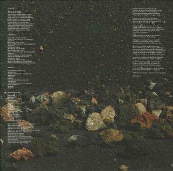 LP Goldfrapp: Silver Eye LTD | CLR