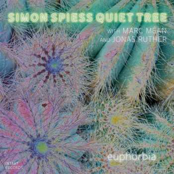 CD Quiet Tree: Euphorbia