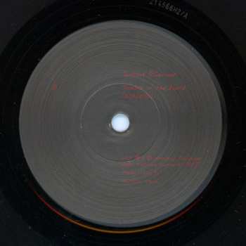 SP Sinéad O'Connor: Trouble Of The World