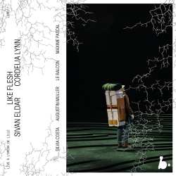 Album Sivan Eldar: Like Flesh