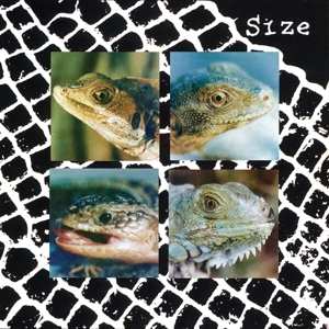 LP Size: Nadie Puede Vivir Con Un Monstruo LTD | CLR