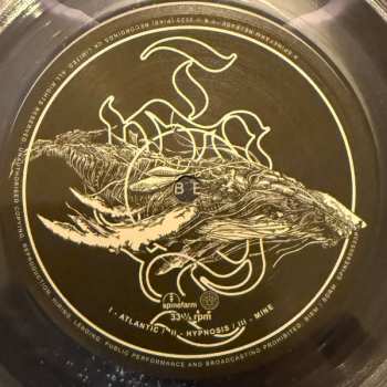 2LP Sleep Token: This Place Will Become Your Tomb CLR | LTD