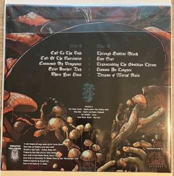 CD Sleepless: Through Endless Black