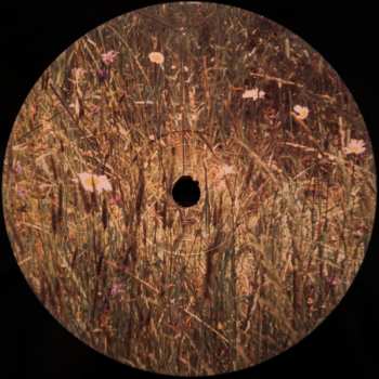 3LP Slugabed: Time Team CLR | LTD