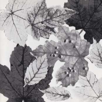 CD Small Faces: The Autumn Stone