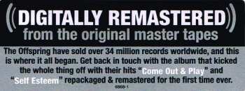LP The Offspring: Smash