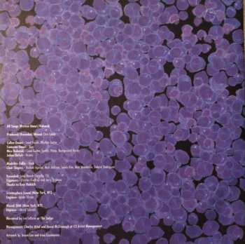 LP/CD Smith Westerns: Soft Will